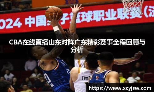 BB贝博艾弗森体育