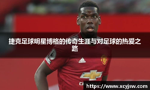 BB贝博艾弗森体育