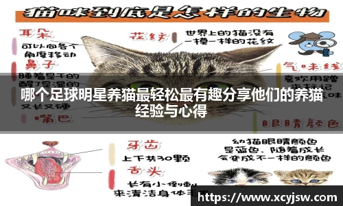 BB贝博艾弗森体育