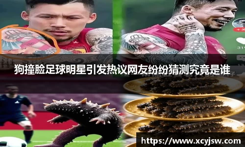 BB贝博艾弗森体育